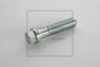 SCANI 01344182 Screw